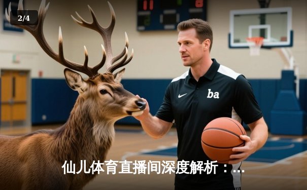 仙儿体育直播间深度解析：NBA季后赛激战正酣，独行侠险胜雷霆挺进西决 - 2